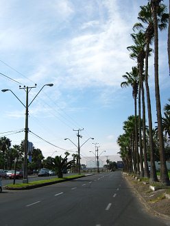 Avenida Velsquez, la vista