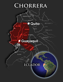 Map with Chorrera culture in the lower parts of
                today's Ecuador