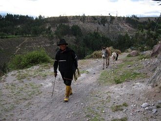 Campesino con burro y oveja a la cuerda