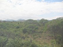 Panamericana in Sd-Ecuador zwischen
                          Huaquillas und Guayaquil, Waldwiesen mit
                          Urwaldbergen (01)