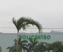 Guayaquil, das
                                        Einkaufszentrum
                                        "Policentro",
                                        Leuchtschrift
