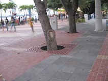 Guayaquil, malecn 2000, reja de rbol en
                        rojo