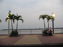 Guayaquil, malecn 2000, grupo de palmeras
                        con asientos