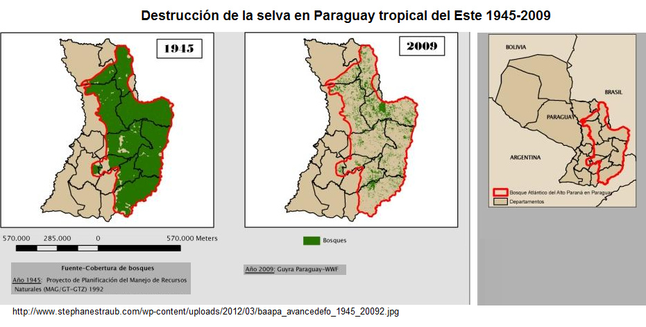 Mapa de Paraguay con la
                  deforestacin y la destruccin de la selva