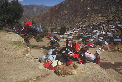 Sarhua, mujeres indgenas lavando la ropa
                        encima del pueblo