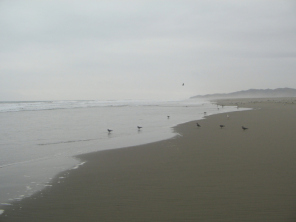 Chilca, panorama del playa 01