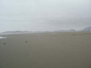 Chilca, panorama del playa 02