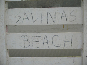 Chilca, reja del club privado "Salinas
                        Beach", vista de cerca
