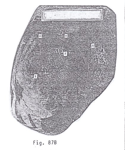 Fig. 87B con un
                            astrlogo 02