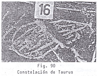 Fig. 90: la
                            constelacin del toro (Taurus)
