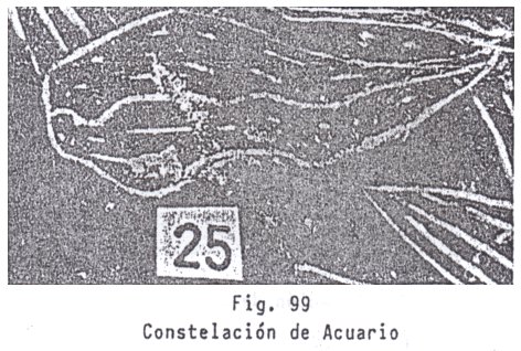 Fig. 99: la
                          constelacin de Acuario