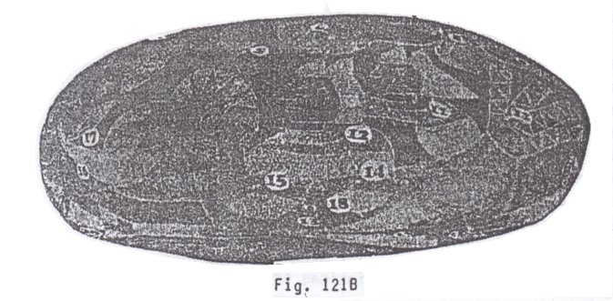 Fig.
                              121B: hombres con espacionaves 02