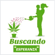 Grupo
                              "Colectivo Buscando Esperanza",
                              logotipo