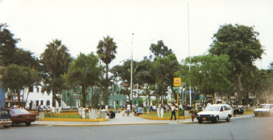 Parque
                        central