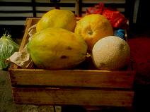 Frchte in einer Kiste: Papaya und
                          Melone