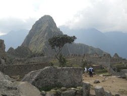 Cantera de Machu Picchu con vista a un rbol y
                    al mirador Huaynapicchu