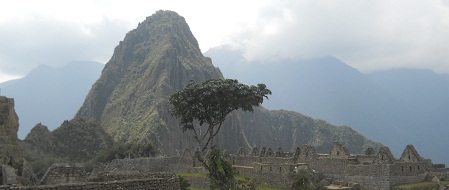 Cantera de Machu Picchu con vista a un rbol y
                    al mirador Huaynapicchu 02