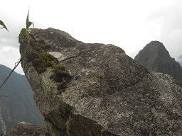 Cantera de Machu Picchu: punta de piedra con
                    superficies planas con musgo