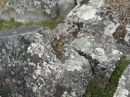 Cantera de Machu Picchu: piedra con superficie
                    plana y con ngulos rectos, primer plano