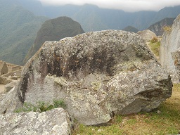 Cantera de Machu Picchu: piedra grande con
                    musgo