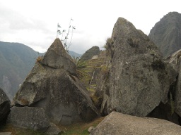 Cantera de Machu Picchu: piedras con
                    superficies planas