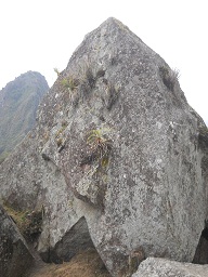 Cantera de Machu Picchu: piedra grande con
                    corte recta grande