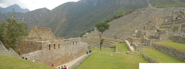 Machu
                      Picchu: Vista de la plataforma superior al muro
                      grande con la plaza central, con el rbol y con el
                      sector agricola