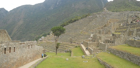 Machu Picchu: Vista de
                    la plataforma superior al muro grande con la plaza
                    central, con el rbol y con el sector agricola