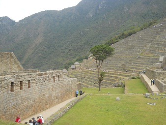 Machu Picchu: Vista de
                    la plataforma superior al muro grande con la plaza
                    central, con el rbol y con el sector agricola