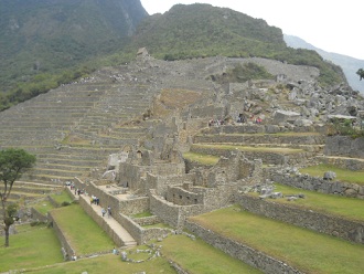 Machu Picchu: Vista de la plataforma superior
                    al rbol, al sector agricola y a la cantera grande