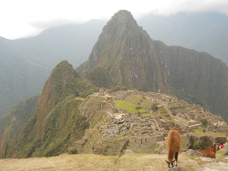 Vicua con Machu Picchu (miradores Huchuypicchu
                    y Huaynapicchu, cantera grande, templos, pirmide
                    del sol, zona de la piedra sagrada, casitas de obra,
                    plaza central, templo de espejos o morteros, muros
                    grandes, prisin en forma de un guila)
