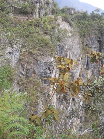 Camino al puente Inca, pared rocosa vertical
