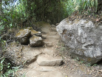 Camino al mirador Huaynapicchu: escaleras con
                    piedras grandes