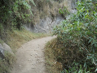 Camino al mirador Huaynapicchu, camino 02