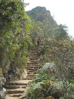Camino al mirador Huaynapicchu, escalera con el
                    mirador Huaynapicchu al fondo