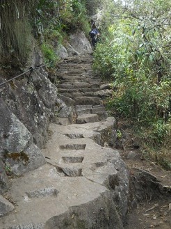 Wanderweg auf den Hausberg Huaynapicchu: Geschnittener Feld mit eingehauenen Treppenstufen