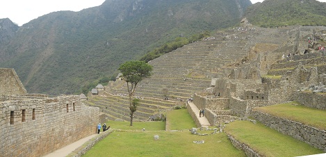Machu Picchu: Sicht auf die Grosse Mauer mit Baum und dem Landwirtschaftssektor im Hintergrund mit dem Huschen oben