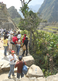 Machu-Picchu-Touristen am botanischen Garten