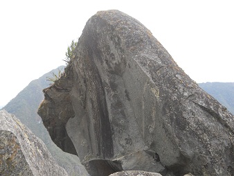 Der grosse Steinbruch von Machu Picchu: Gigastein mit gebogenen Flchen und ein Gesicht, Nahaufnahme 02