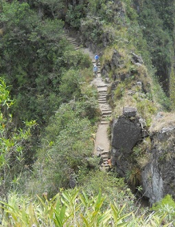 Wanderweg zum grossen Hausberg Huaynapicchu,
                    Wanderweg mit Treppen