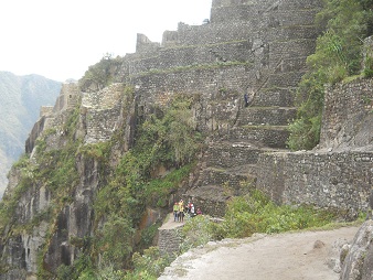Weiler Huaynapicchu mit
                            Landwirtschaftsterrassen und einer weiteren
                            Treppe mit Sicherungsseil 01
