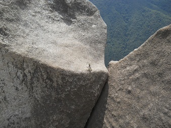 Der Steinbruch auf dem Gipfel von Huaynapicchu, geschnittene Gigasteine, Nahaufnahme - und eine Eidechse
