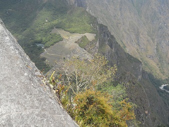 Berggipfel Huaynapicchu mit dem Steinbruch mit geschnittenen Gigasteinen, ein Strauch