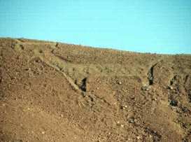 Ein
                          Geoglyph in Form eines Lamas, z.B. an der
                          archologischen Sttte "Chen-Chen",
                          sdstlich von Maquegua in Sd-Peru
