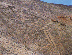 Geoglyphen am
                                        "Bemalten Berg"
                                        ("Cerro Pintado") bei
                                        Iquique, Trapeze aus Quadraten
                                        und ein Zepter (Koordinaten:
                                        Breite -20.622337, Lnge
                                        -69.669017)
