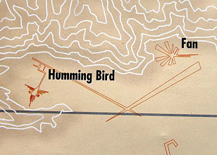 Linien von Nasca, Detail der Institutskarte
                        mit dem Kolibri (engl. Hummingbird) und mit dem
                        Fcher (engl. Fan), der auch als Stern (engl.
                        Star) bezeichnet wird