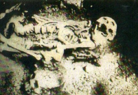 Lauricocha, esqueleto