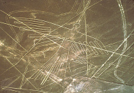 Dibujo de las
              lneas de Nazca, el Cndor