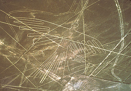 Dibujo de las
                          lneas de Nazca, el Cndor