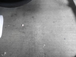 Feo valo Gutierrez en feo
                                      Miraflores: El Ministerio de
                                      Migraciones en el stano deja
                                      esperar sus cliente en un piso de
                                      concreto con chicles y basura 02